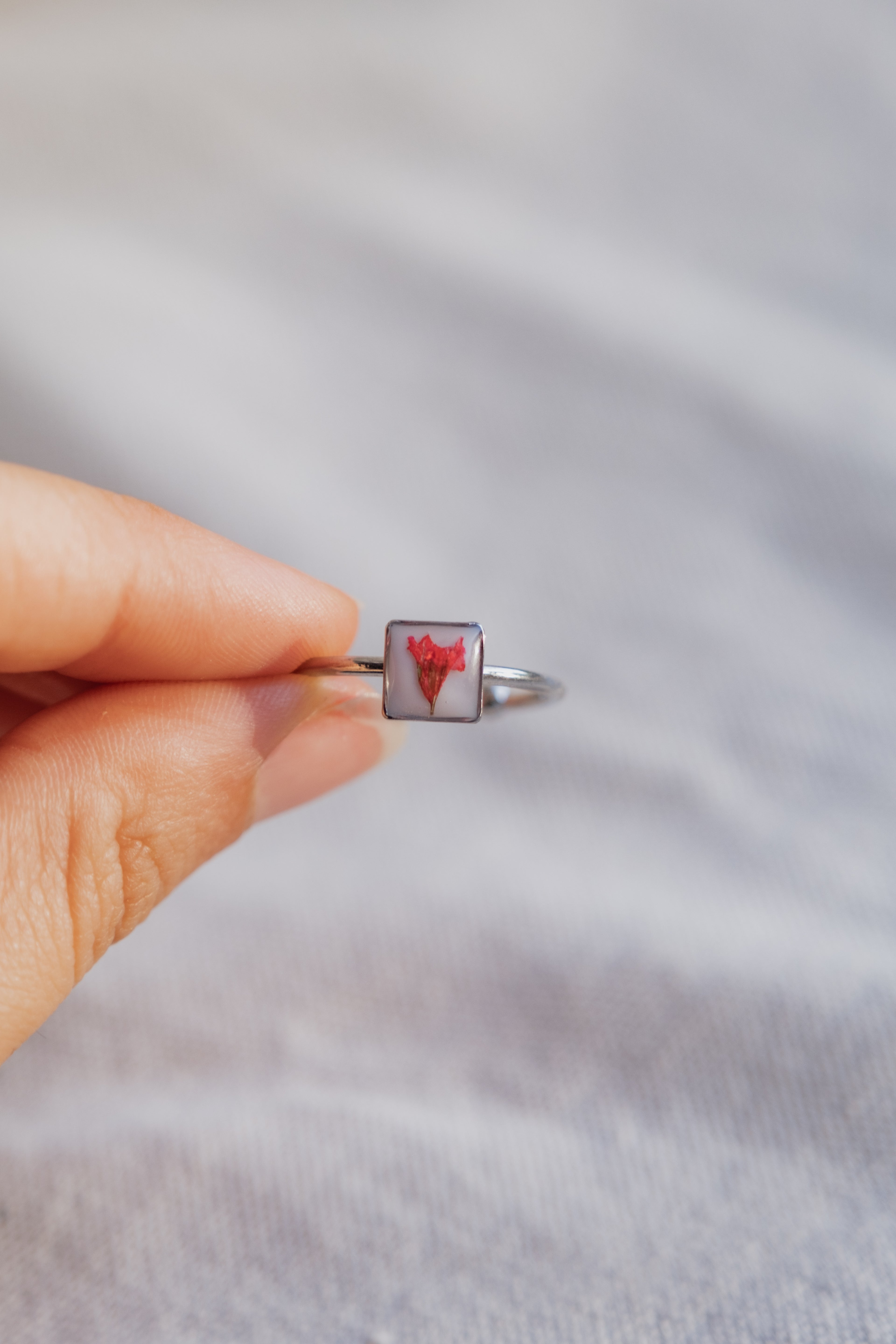 Anello con fondo bianco e fiore di Gypsophila rossa