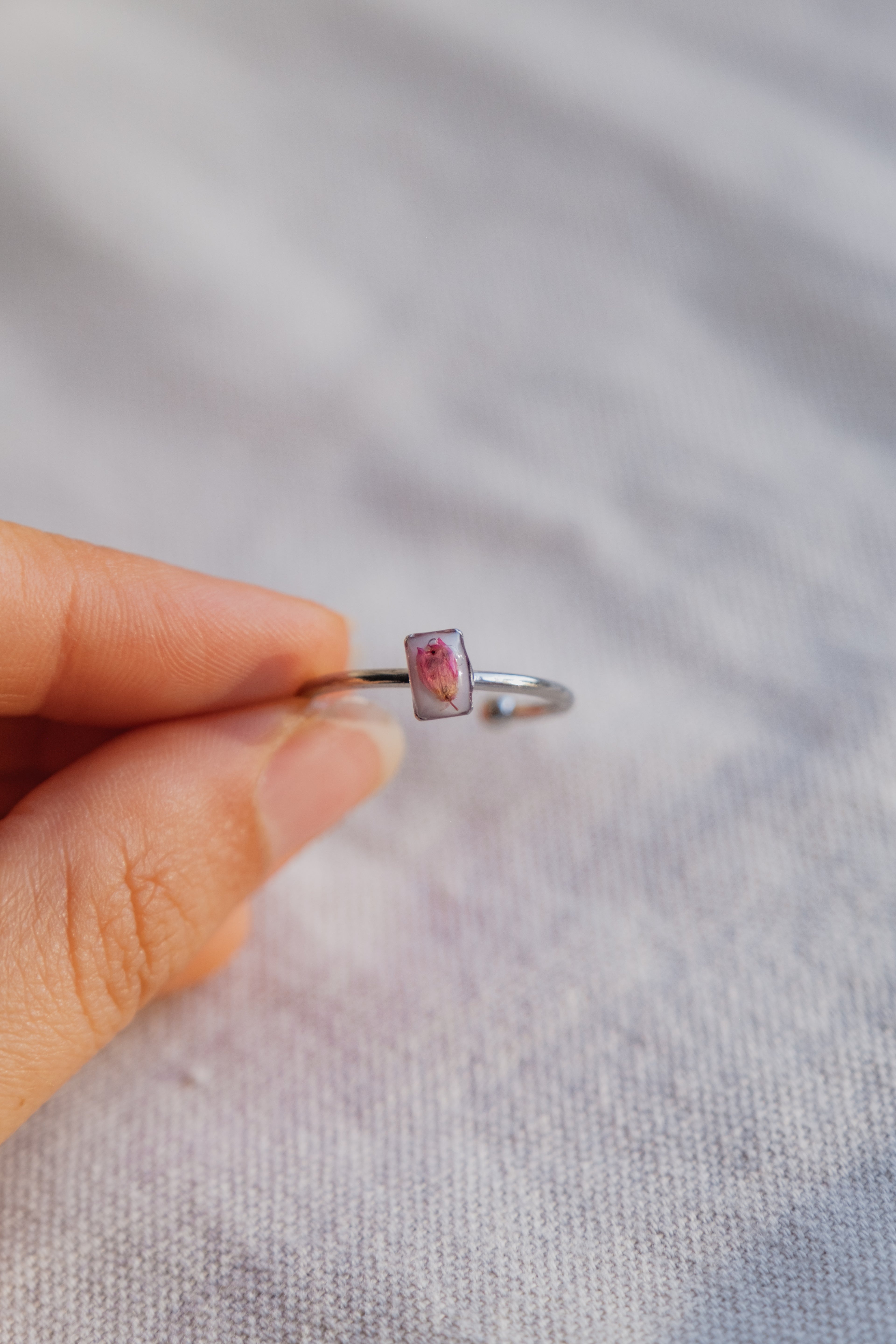 Anello con fondo bianco e fiore di Erica