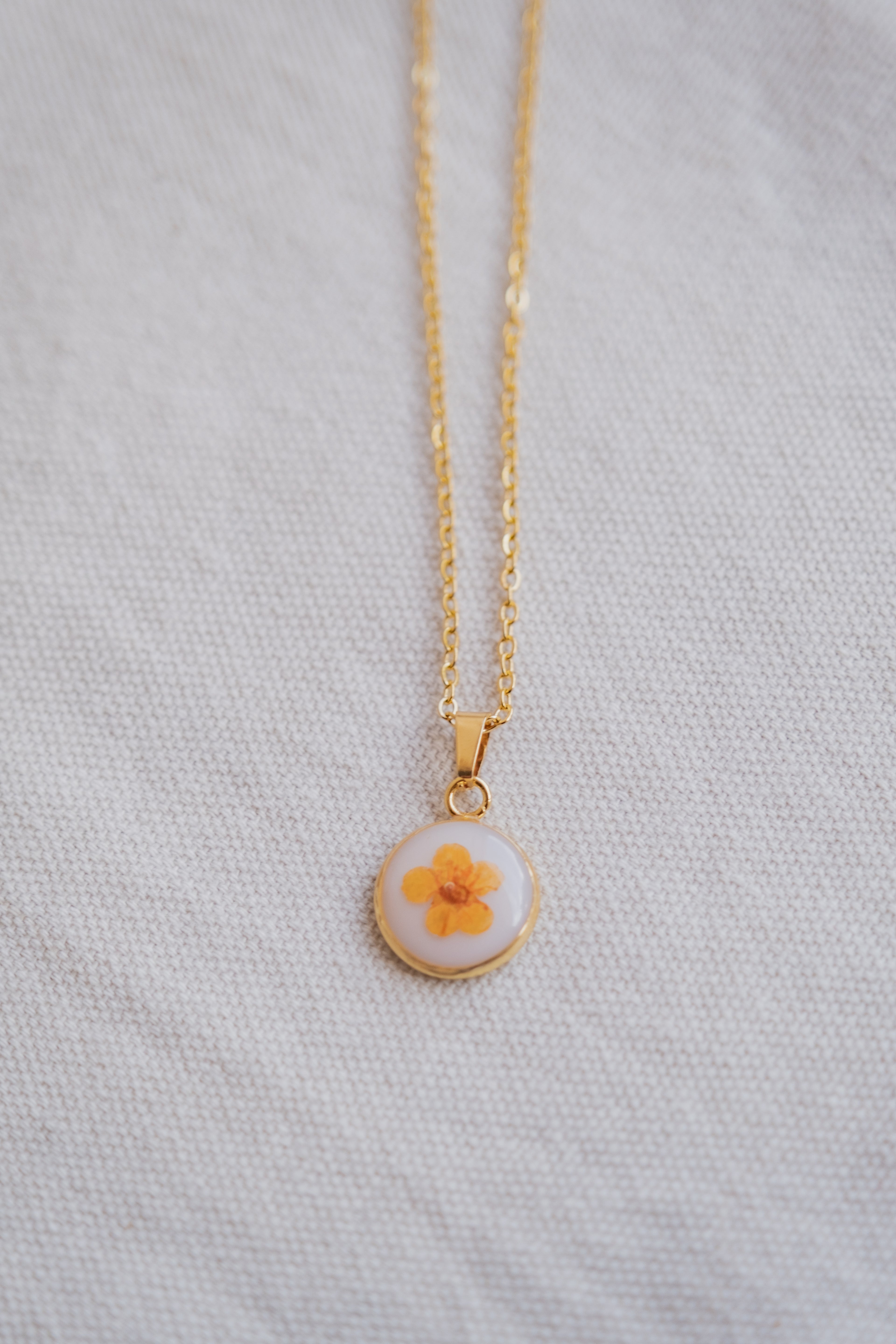 Collana fondo colorato con narciso arancione