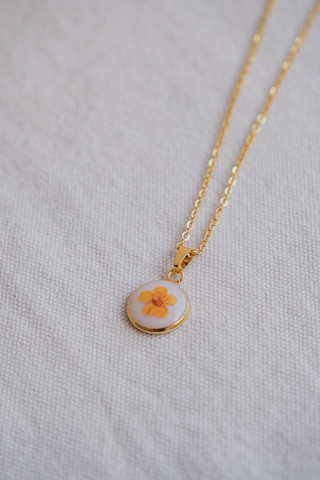 Collana fondo colorato con narciso arancione