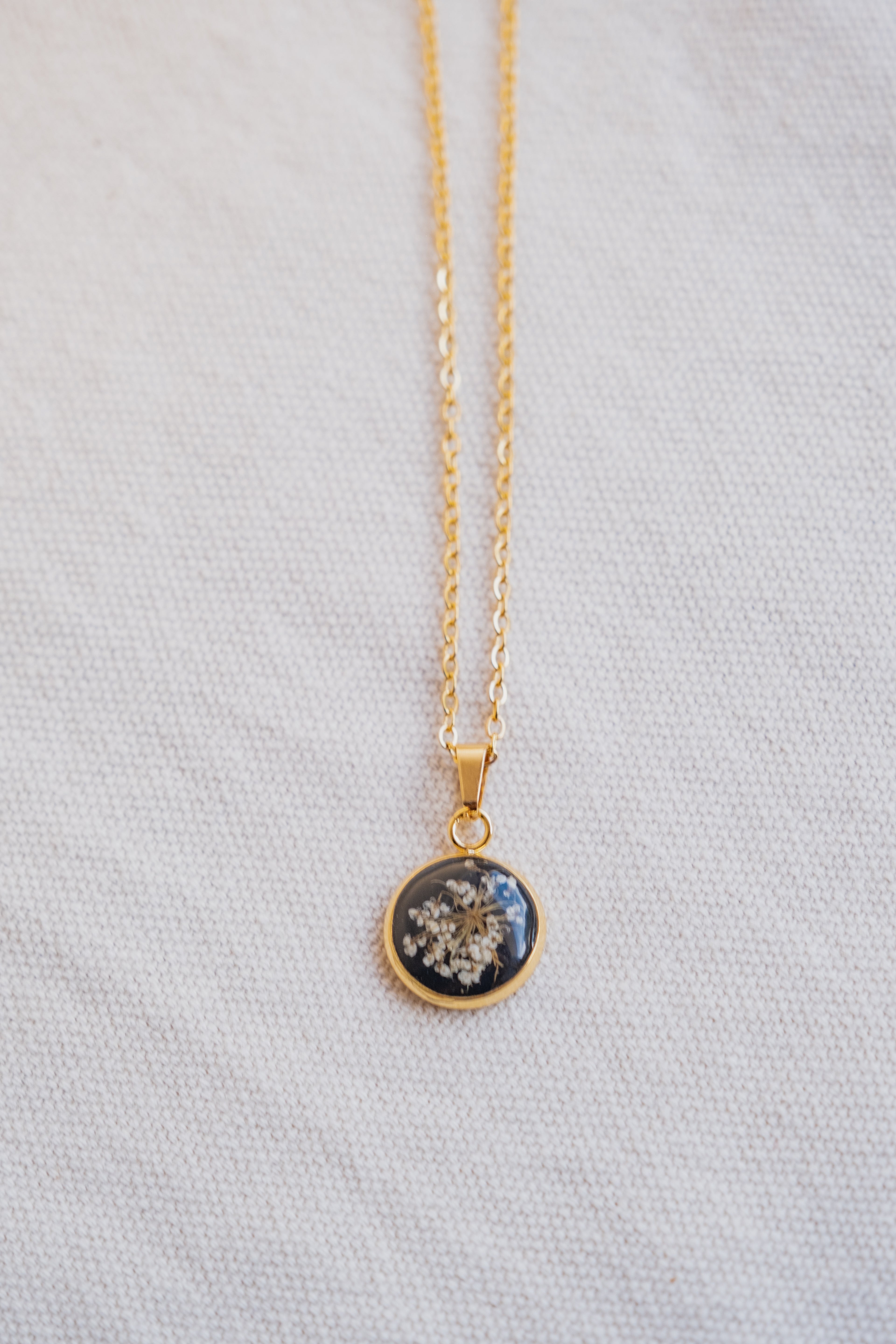 Collana fondo colorato con fiore di carota selvatica