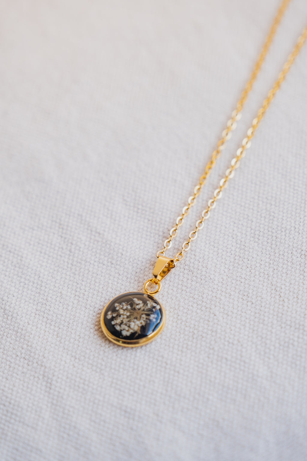Collana fondo colorato con fiore di carota selvatica