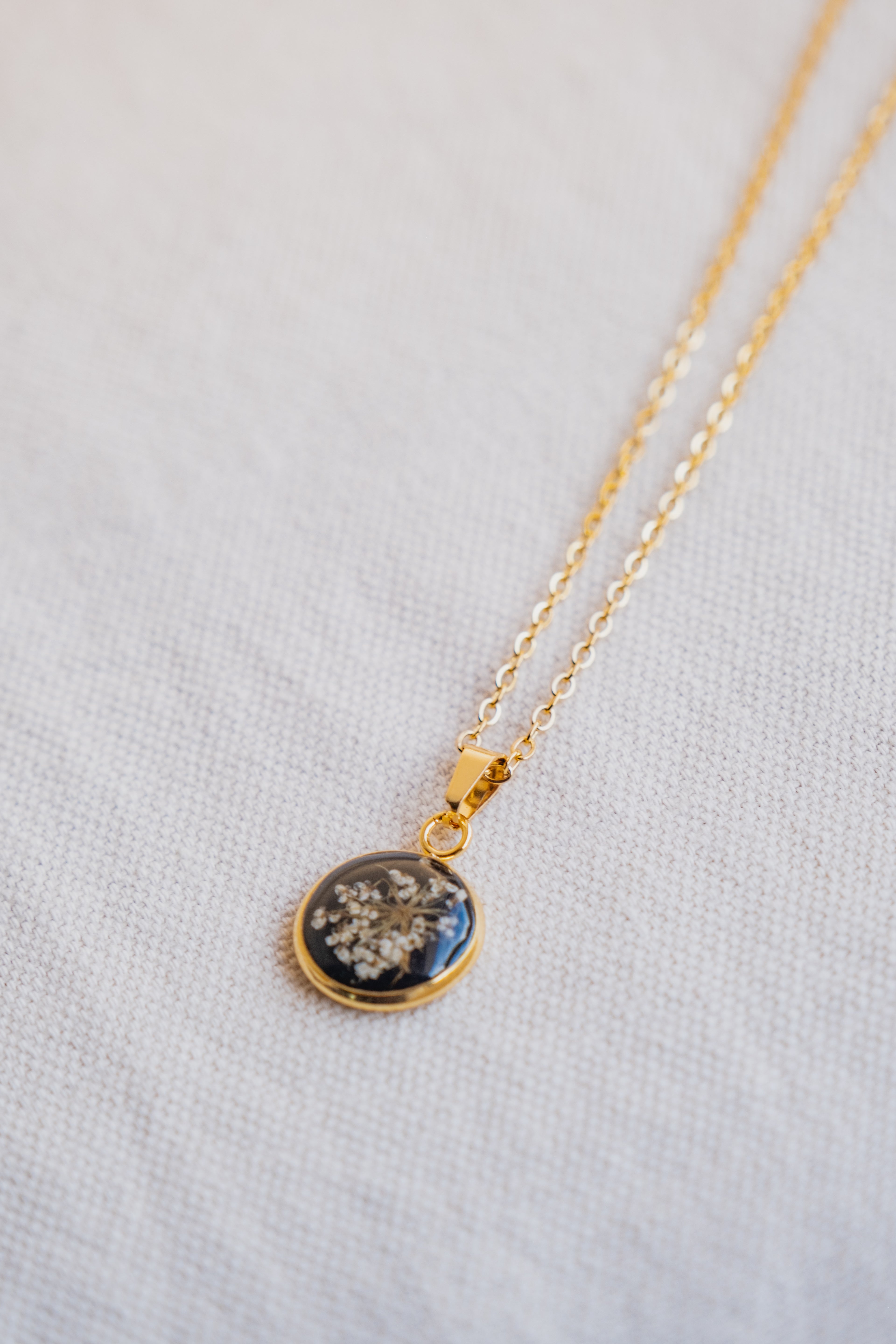 Collana fondo colorato con fiore di carota selvatica