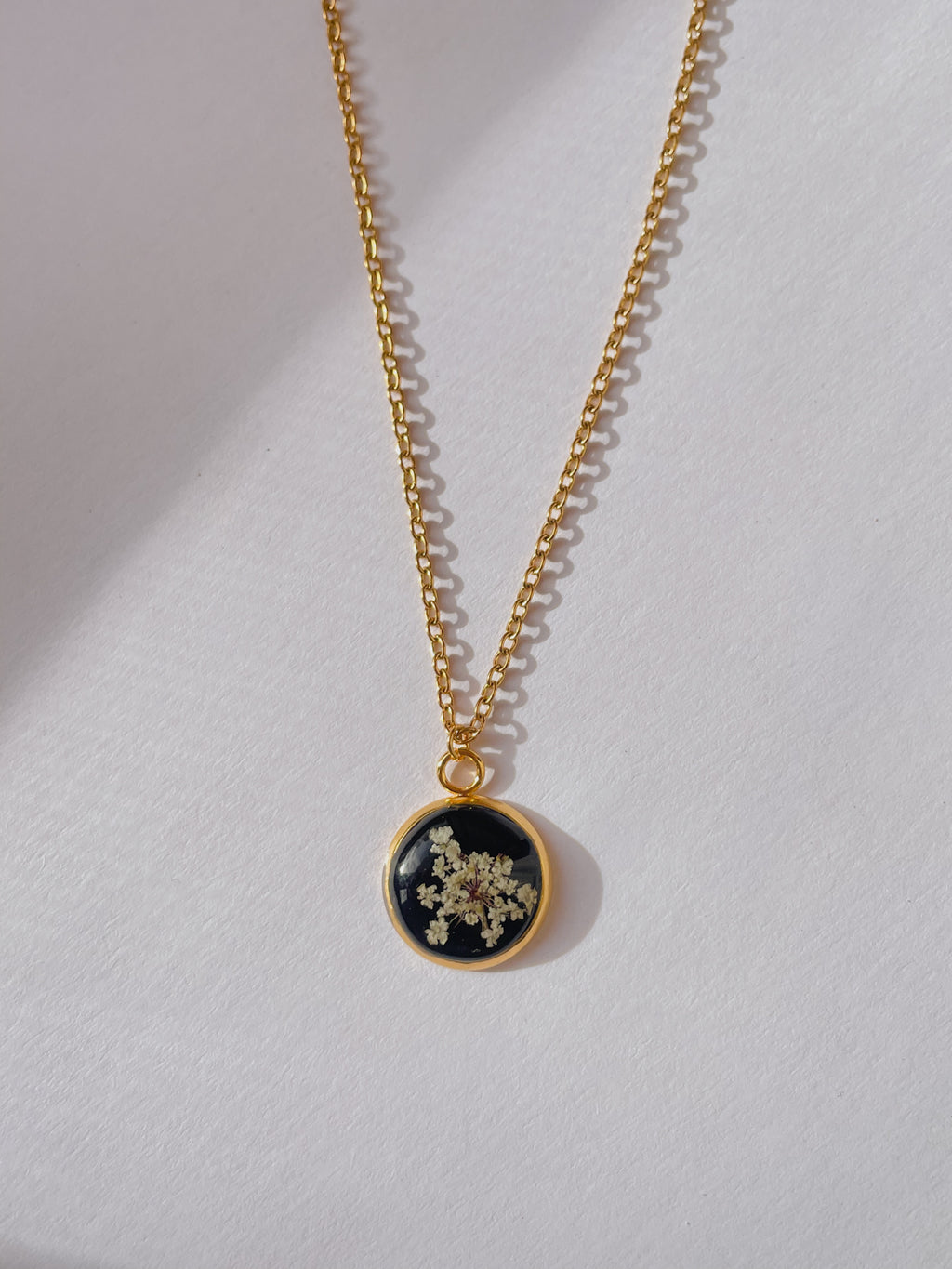 Collana fondo colorato con fiore di carota selvatica