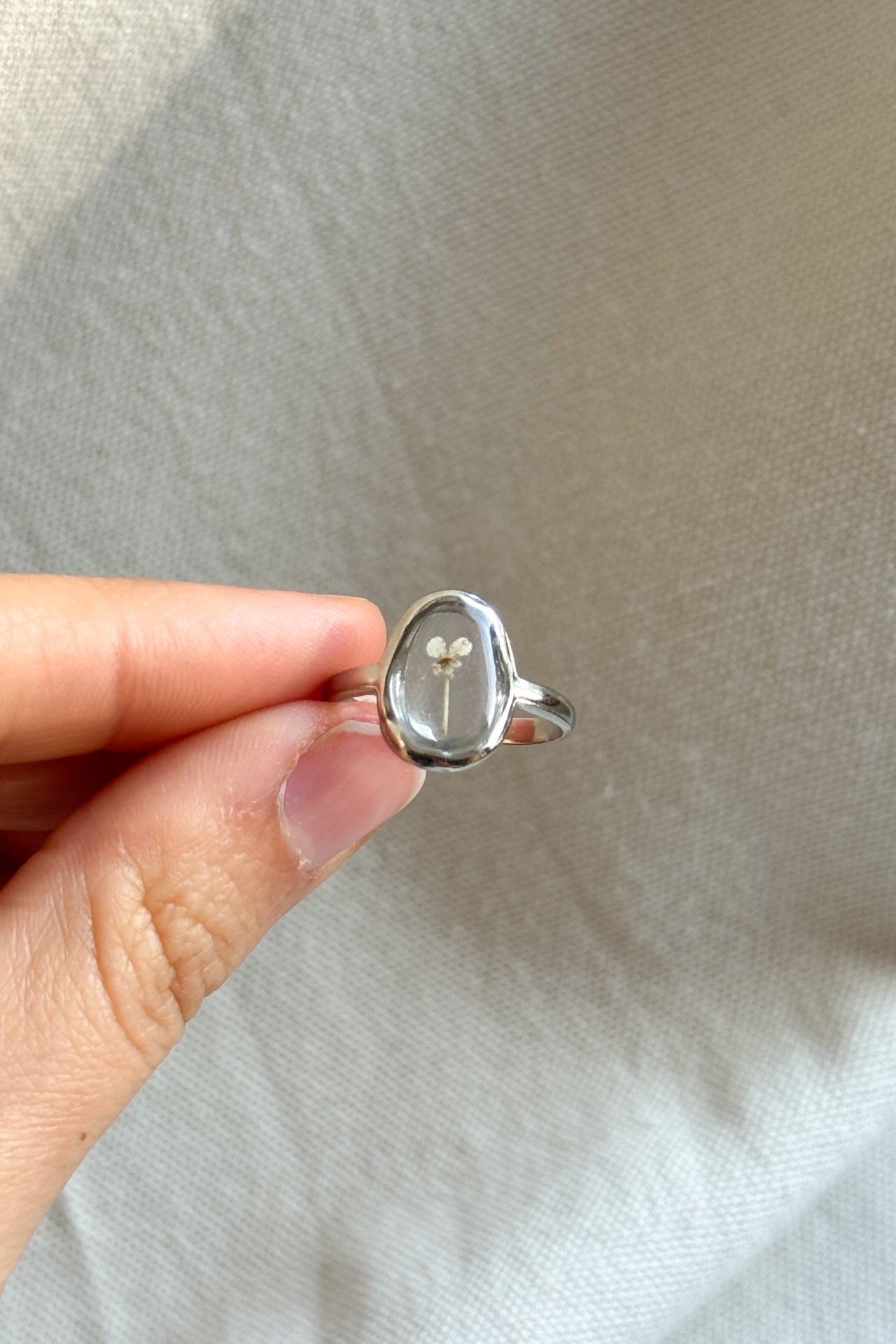 Anello ovale con fondo trasparente e carota selvatica bianca