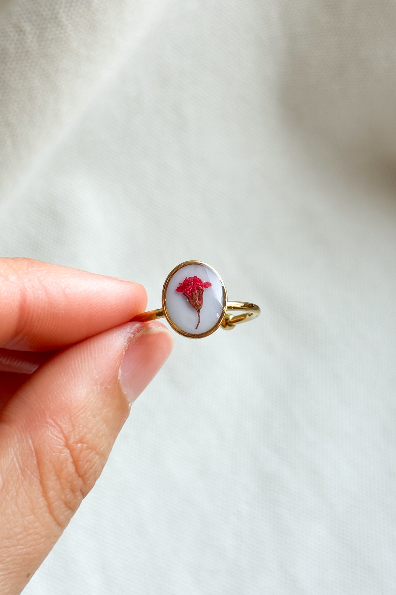 Anello con fondo bianco e Gypsophila rossa