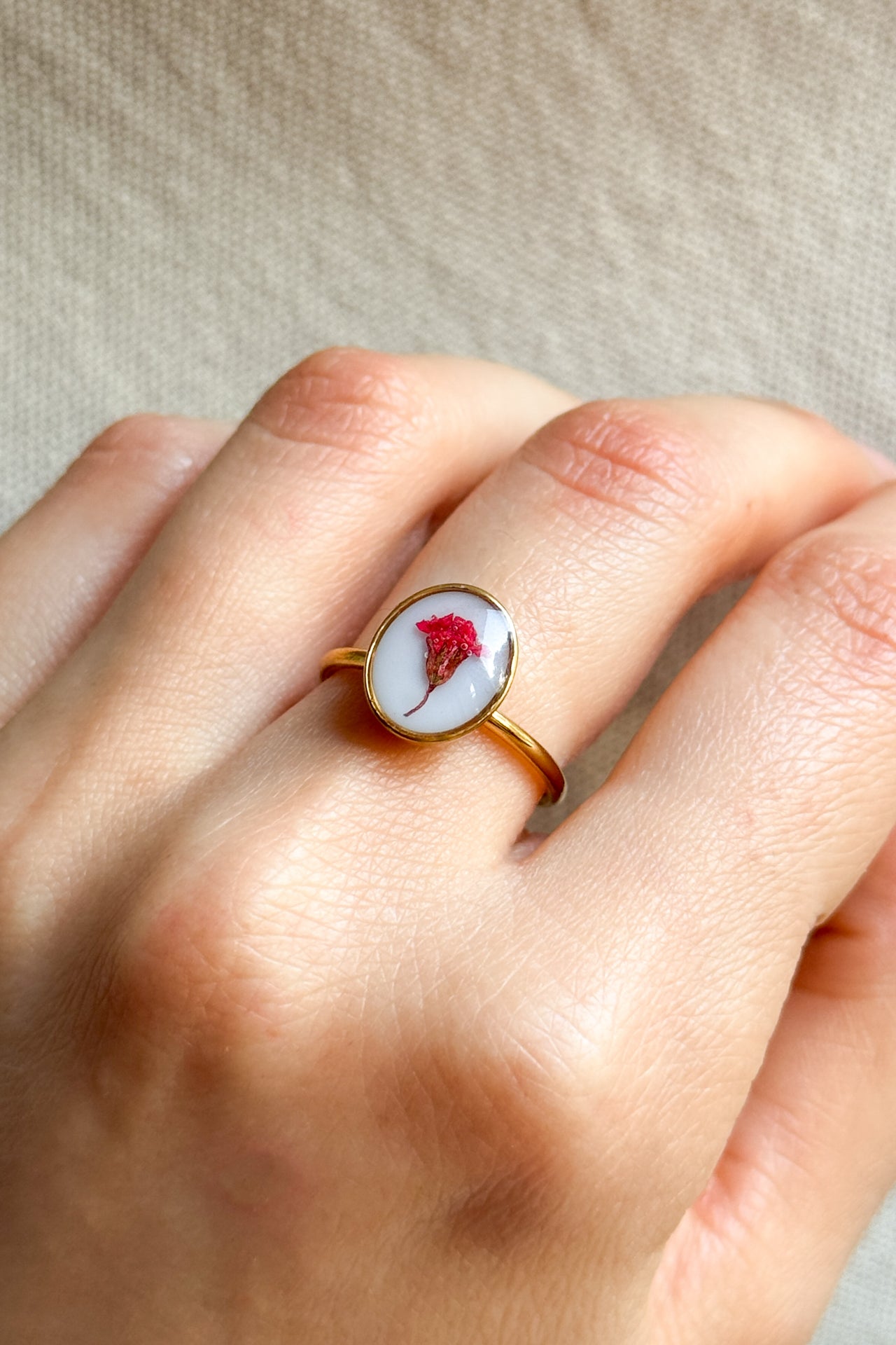 Anello con fondo bianco e Gypsophila rossa