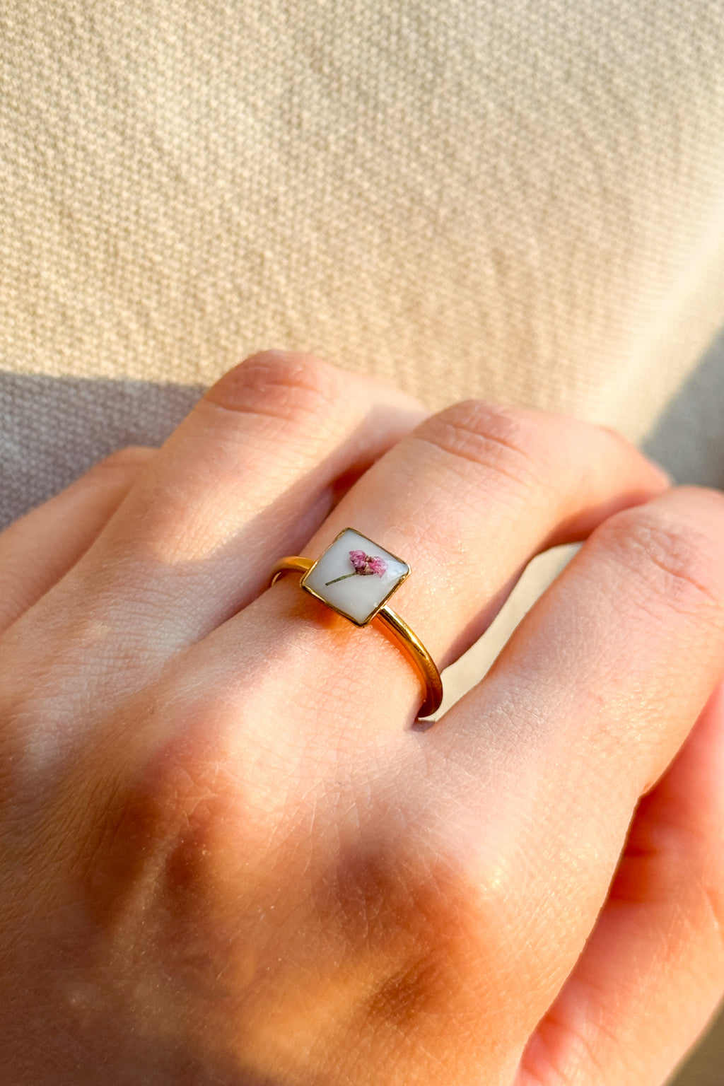 Anello con fondo bianco e Alisso