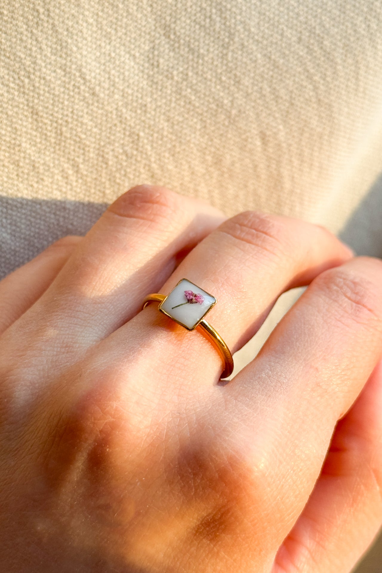 Anello con fondo bianco e Alisso