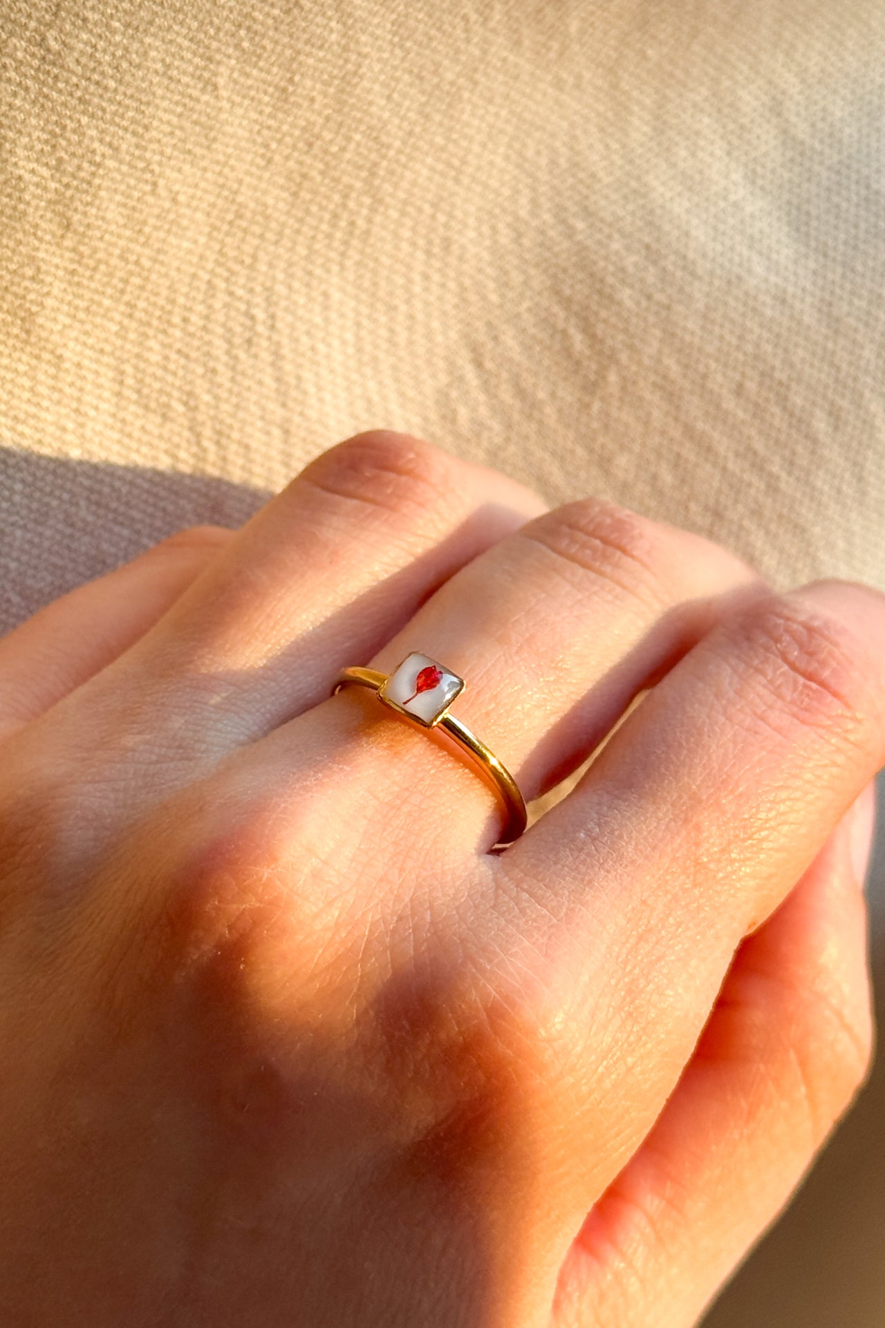 Anello con fondo bianco e Gypsophila rossa