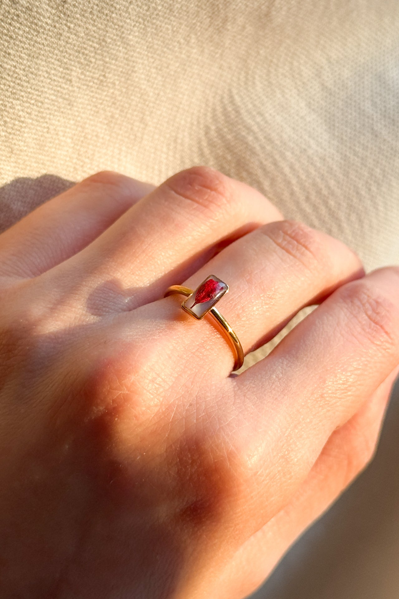 Anello con fondo bianco e Gypsophila rossa