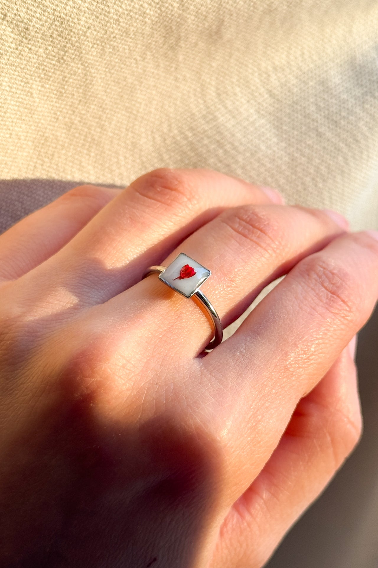 Anello con fondo bianco e Gypsophila rossa